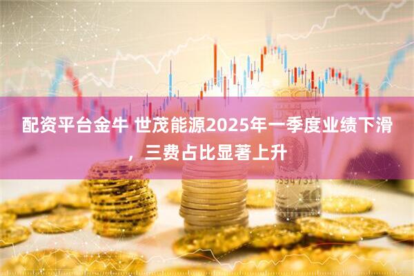 配资平台金牛 世茂能源2025年一季度业绩下滑，三费占比显著上升