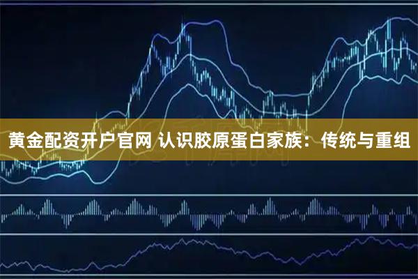 黄金配资开户官网 认识胶原蛋白家族：传统与重组
