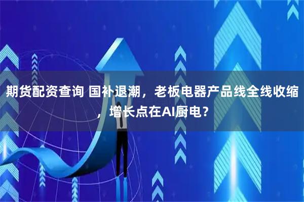 期货配资查询 国补退潮，老板电器产品线全线收缩，增长点在AI厨电？